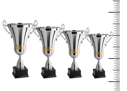 Set 4 premiazioni personalizzate con manici 62 - 55 - 50 - 46 cm | Cod. 1.099