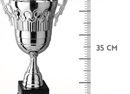 Trofeo con manici da 35 cm, peso da 1 Kg | Cod. 4.443