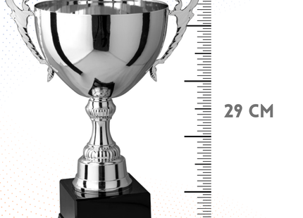 Trofeo in metallo da 29 cm con manici | Cod. 7.263