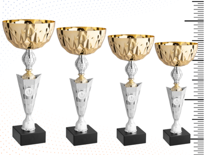 Set 4 Coppe da 39 - 38 - 36 - 34 cm | Cod. 11.489G