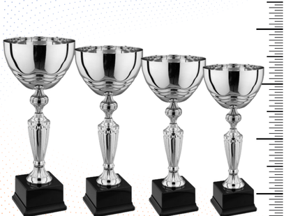 Set 4 Coppe da 42 - 40 - 35 - 33 cm | Cod. 8.209