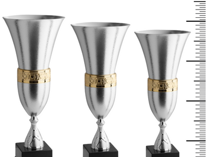Tris di premiazioni personalizzate 58 - 55 - 49 cm | Cod. 2.419
