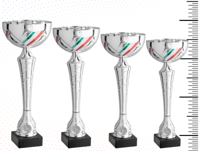 Set 4 Coppe da 38 - 36 - 34 - 31 cm | Cod. 11.019