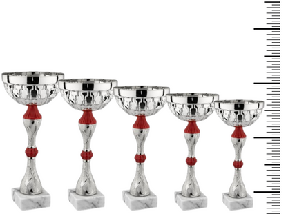 Set completo 7 pezzi premiazioni calcistiche gran risparmio | Cod. Saturno