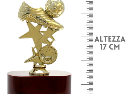 Premiazioni personalizzate premio calcio 15.015