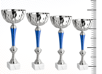 Set 4 Coppe da 41 - 39 - 36 - 33 cm | Cod. 11.569S