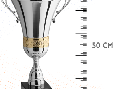 Trofeo con manici 50 cm da 2 Kg | Cod. 1.093