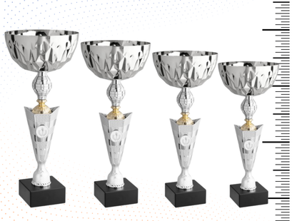 Set 4 Coppe da 39 - 38 - 36 - 34 cm | Cod. 11.489S