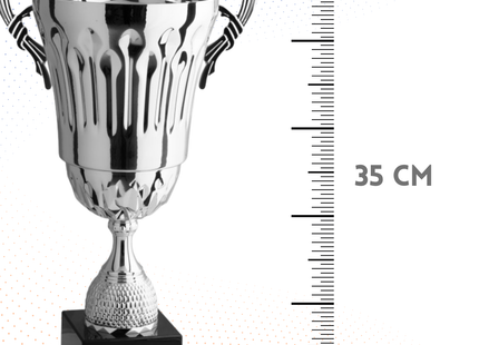Trofeo con manici da 35 cm, peso da 1 Kg | Cod. 3.076
