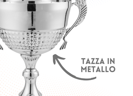 Set 4 Trofei con manici da 38 - 33 - 29 - 27 cm | Cod. 7.509