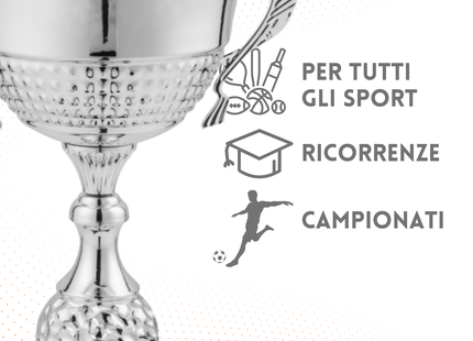 Trofeo in metallo da 29 cm con manici | Cod. 7.503