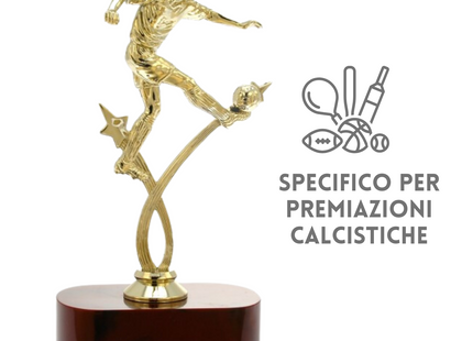 Premiazioni personalizzate premio calcio 14.535