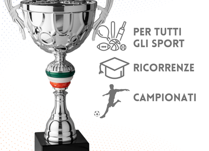Trofeo in metallo da 41 cm con manici | Cod. 7.093