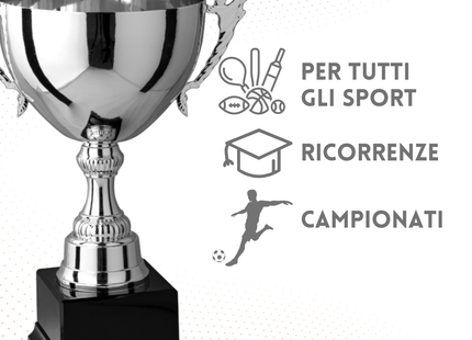 Trofeo in metallo da 29 cm con manici | Cod. 7.263