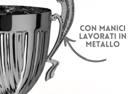 Trofeo con manici da 43 cm, peso da 0,4 Kg | Cod. 4.063
