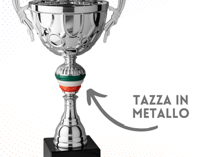 Trofeo in metallo da 41 cm con manici | Cod. 7.093