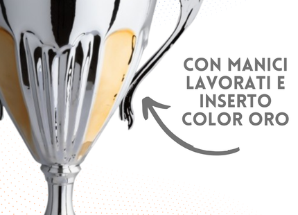Trofeo con manici da 44 cm, peso da 1,8 Kg | Cod. 4.121
