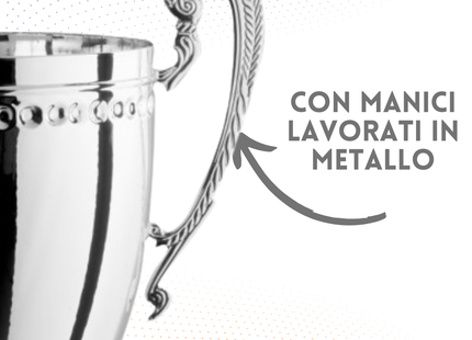 Trofeo con manici da 48 cm, peso da 1,5 Kg | Cod. 1.164