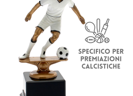 Premiazioni personalizzate premio calcio 15.291