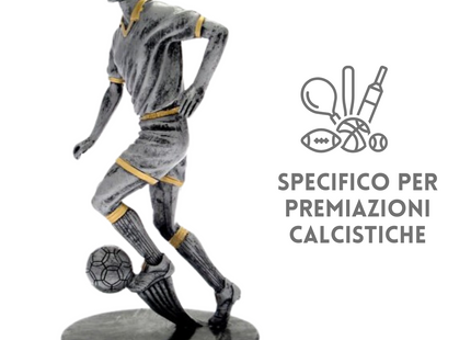 Premiazioni personalizzate premio calcio 15.232
