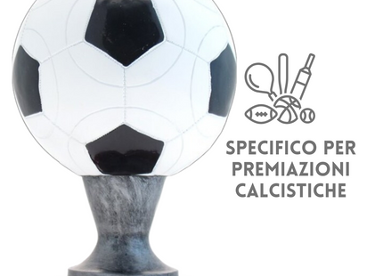 Premiazioni personalizzate premio calcio 15.301