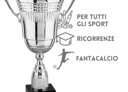 Coppa trofeo con manici da 37 cm | Cod. 2.456
