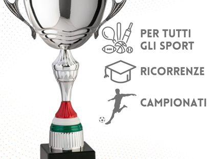 Trofeo in metallo da 32 cm con manici | Cod. 7.544