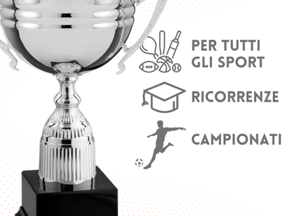 Trofeo in metallo da 30 cm con manici | Cod. 6.433