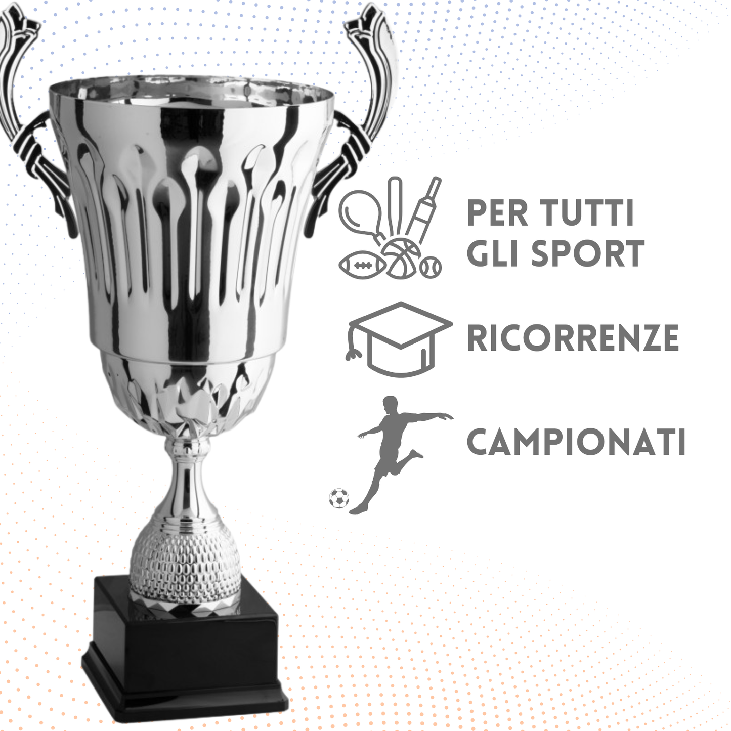 Trofeo con manici da 35 cm, peso da 1 Kg | Cod. 3.076