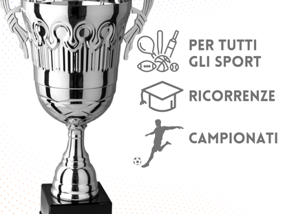 Trofeo con manici da 41 cm, peso da 1,4 Kg | Cod. 4.442
