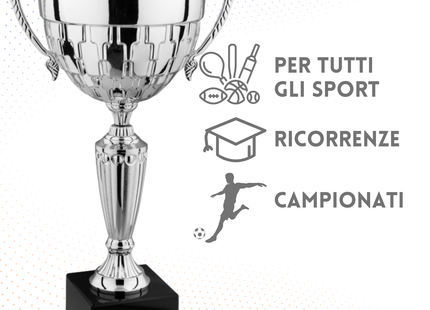 Trofeo in metallo da 43 cm con manici | Cod. 7.561