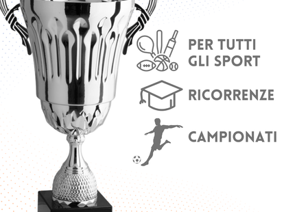 Trofeo con manici da 45 cm, peso da 1,6 Kg | Cod. 3.074