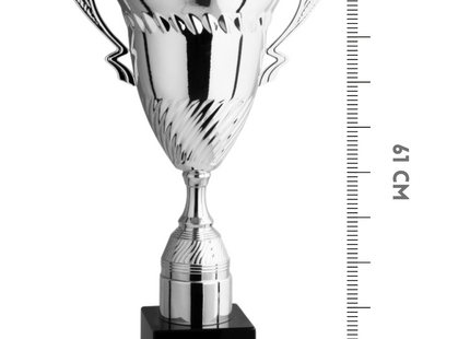 Premiazioni personalizzate e trofei 1.151
