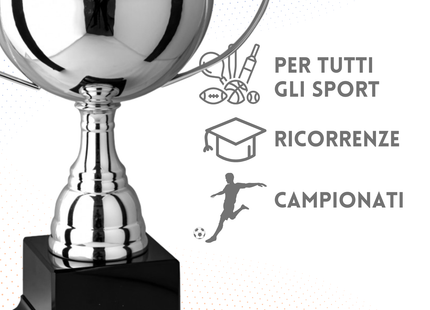 Trofeo in metallo da 26 cm con manici | Cod. 7.553