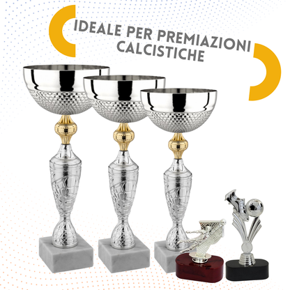 Set completo 5 pezzi premiazioni calcistiche | Cod. Nettuno
