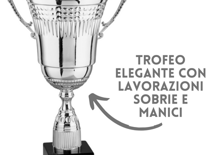Coppa trofeo con manici da 37 cm | Cod. 2.456