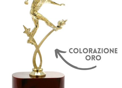 Premiazioni personalizzate premio calcio 14.535
