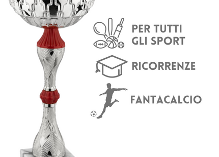 Set completo 7 pezzi premiazioni calcistiche gran risparmio | Cod. Saturno