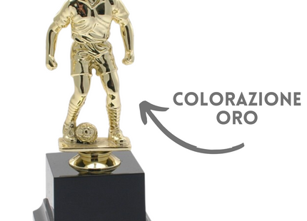 Premiazioni personalizzate calcio 14.512