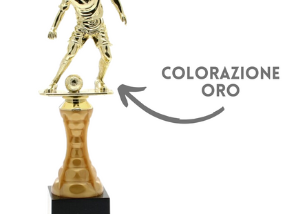 Premiazioni personalizzate premio calcio 15.275