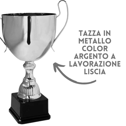 Coppa trofeo da 32 cm in metallo con ampi manici | Cod. 6.313