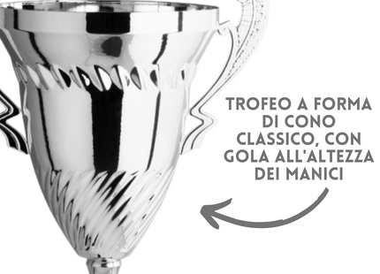 Premiazioni personalizzate e trofei 1.151