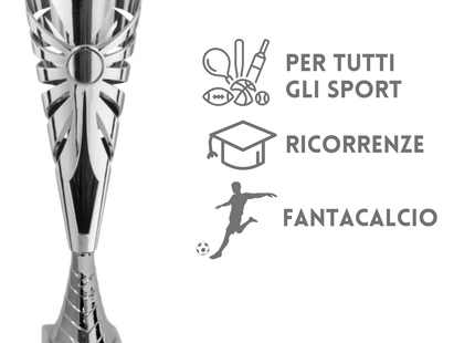 Set completo 6 pezzi premiazioni calcistiche gran risparmio | Cod. Marte 2