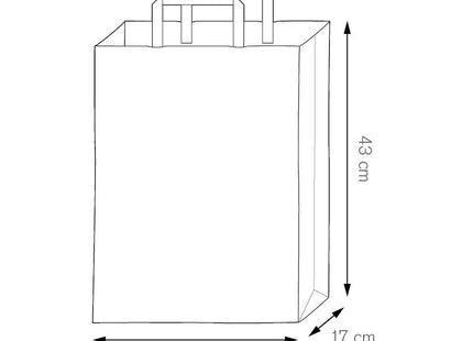 Shopper in carta 32x43x17 cm, modello PG073 per negozi ed eventi