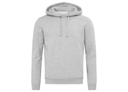ST5630 - felpa grigia vista frontale