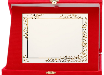 Hole Gadget | Targa riconoscimento personalizzata 19.091G