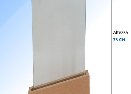 Trofeo in cristallo personalizzato 14x25x4 cm | Cod. 25.627L