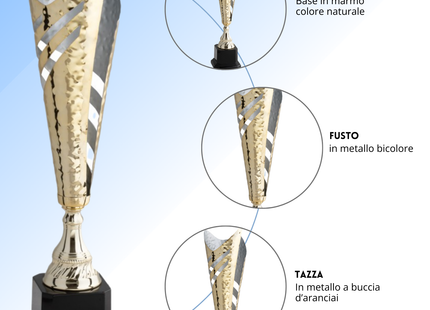 Set da 4 trofei personalizzati 49 - 43 - 38 - 38 cm | Cod. 4.559A