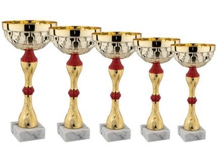 Set di 5 coppe personalizzate 33 - 30 - 28 - 25 - 22 cm | Cod. 13.249G