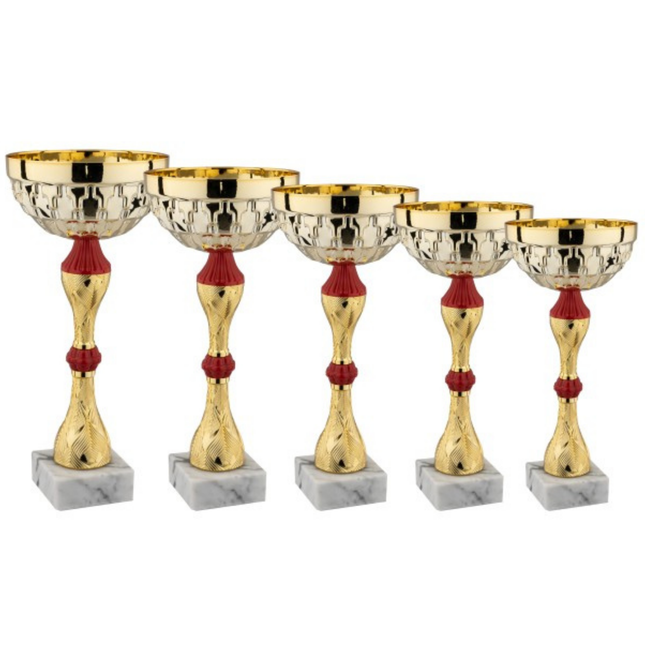 Set di 5 coppe personalizzate 33 - 30 - 28 - 25 - 22 cm | Cod. 13.249G